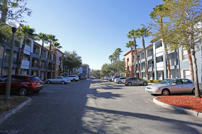 Sawgrass Creek photo'