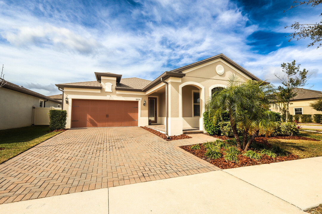 18814 Birchwood Groves Dr in Lutz, FL - Building Photo