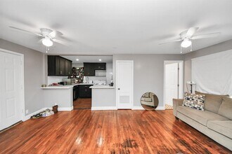 7309 Moline St in Houston, TX - Building Photo - Building Photo