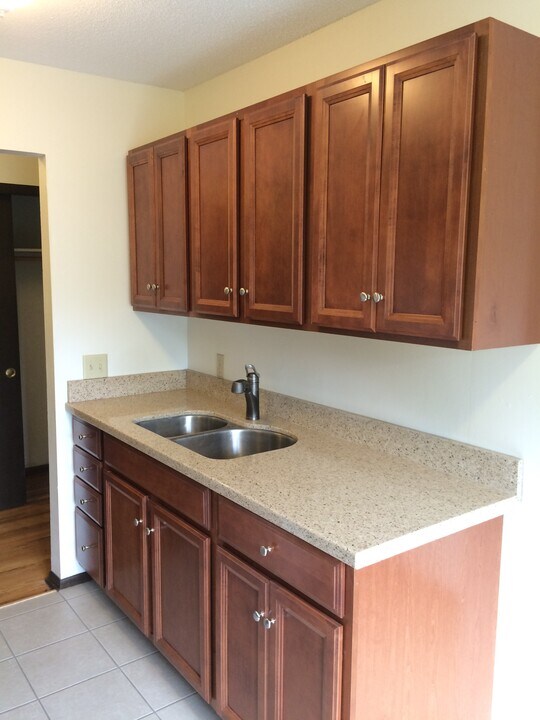 1310 Park St in St. Paul, MN - Building Photo
