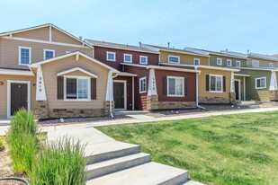 Lion Village Student Housing Apartments