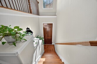 1323 Studer St in Houston, TX - Building Photo - Building Photo