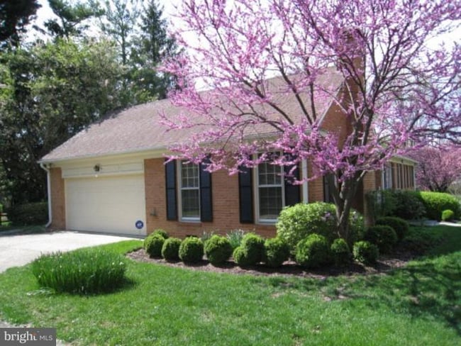 11132 Luxmanor Rd in Rockville, MD - Building Photo - Building Photo