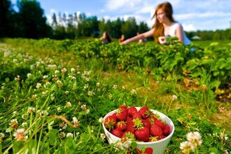 1517 Tristar Dr in Plant City, FL - Building Photo - Building Photo