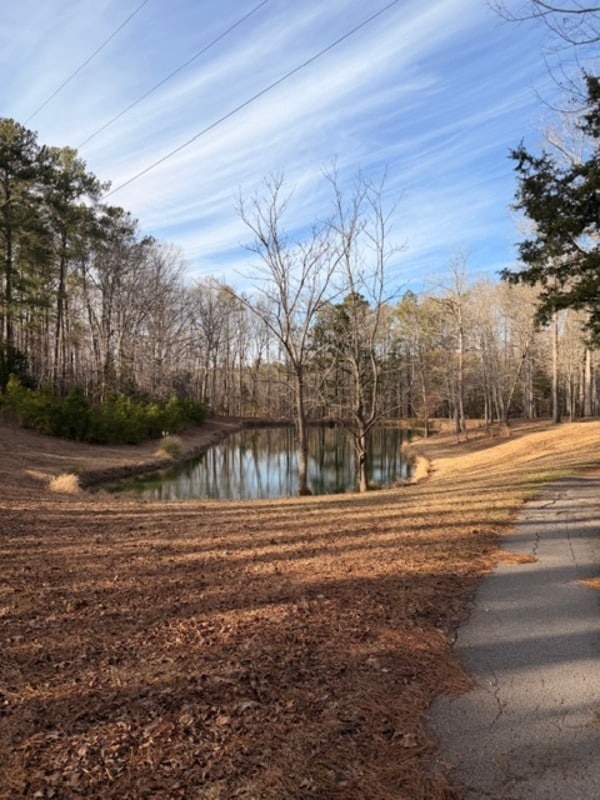 250 Running Deer Rd in Blythewood, SC - Building Photo - Building Photo