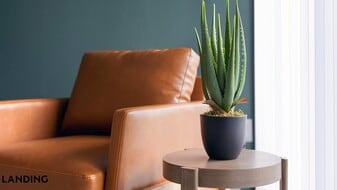 1414 Wood Hollow Dr in Houston, TX - Building Photo