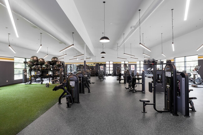 Axis 201 in New Haven, CT - Building Photo - Interior Photo