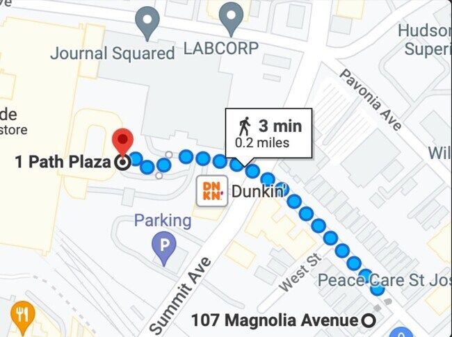 107 Magnolia Ave in Jersey City, NJ - Building Photo - Building Photo