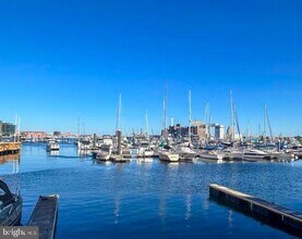 23 Pierside Dr in Baltimore, MD - Building Photo - Building Photo