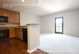 975 Lincoln St-Unit -Unit 9A in Denver, CO - Building Photo - Building Photo