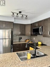 15 Dorchester Ter in Hamilton, ON - Building Photo - Building Photo