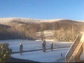 50 Don Irwin Rd in Prattsville, NY - Building Photo