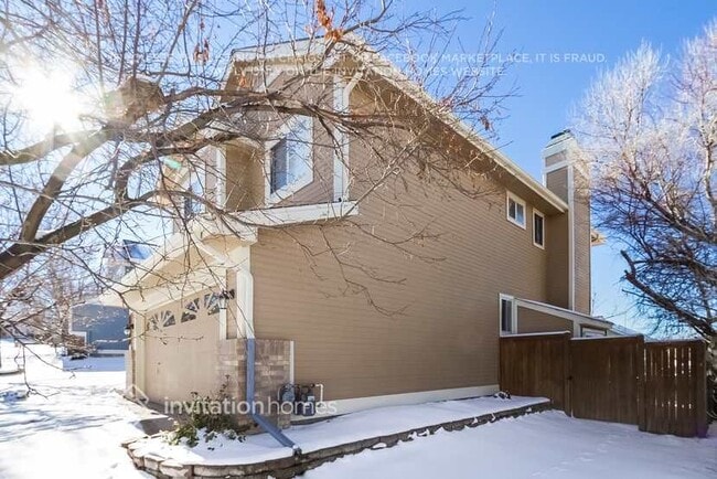 4923 N Wildflowers Way in Castle Rock, CO - Foto de edificio - Building Photo