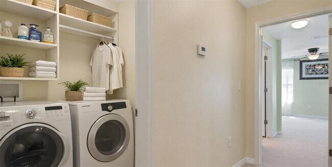 20459 Berrywood Ln in Tampa, FL - Building Photo - Building Photo