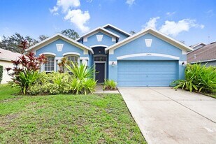 15451 Martinmeadow Dr in Fish Hawk, FL - Building Photo