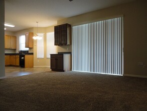 27602 Sky Lake Cir in Wesley Chapel, FL - Building Photo - Building Photo