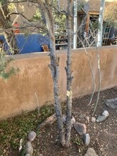 3228 1/2 La Avenida de San Marcos in Santa Fe, NM - Building Photo - Building Photo