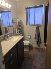 1708 Larch St in Fort Collins, CO - Building Photo - Building Photo