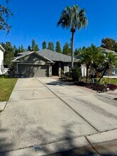 19333 Sandy Springs Cir in Lutz, FL - Building Photo - Building Photo