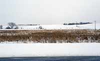 Avienda Apartments in Chanhassen, MN - Foto de edificio - Building Photo