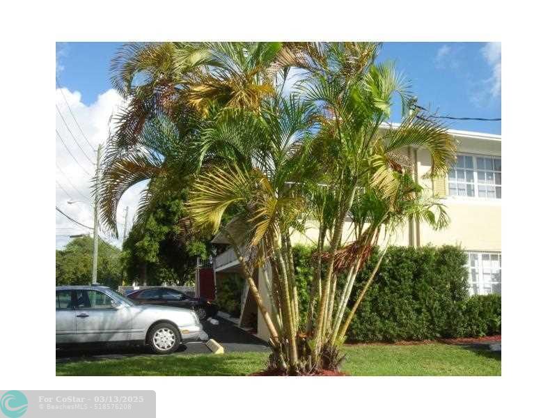 1600 NE 3rd Ave in Fort Lauderdale, FL - Building Photo