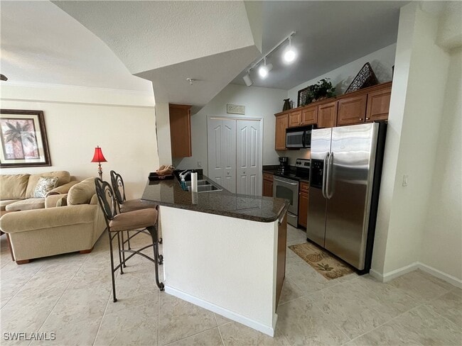 12935 Violino Ln in Naples, FL - Building Photo - Building Photo