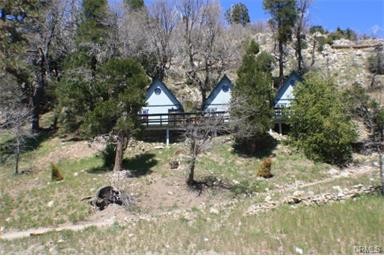 1286 Lovers Ln in Rimforest, CA - Building Photo