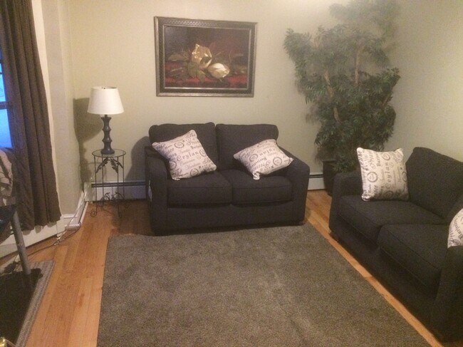 30 Young St, Unit Apt #1