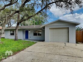 5547 Golden Nugget Dr in Holiday, FL - Building Photo