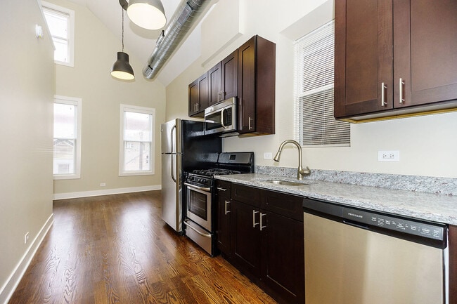 1334 W 18th Pl in Chicago, IL - Building Photo - Building Photo