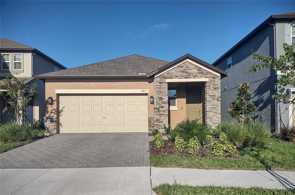 9813 Little Bluestem Dr in Land O Lakes, FL - Building Photo