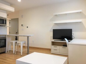 113 Mt Auburn St, Unit 53 in Cambridge, MA - Building Photo - Building Photo