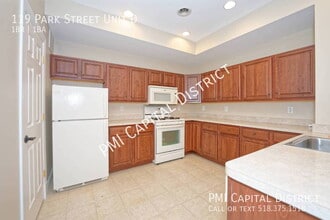 119 Park St in Altamont, NY - Building Photo - Building Photo