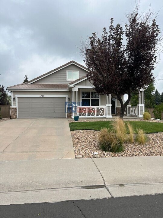 6725 Turnstone Ave in Castle Rock, CO - Building Photo
