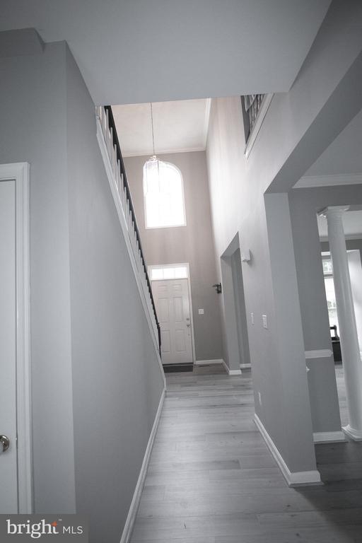 25282 Mastery Pl in Aldie, VA - Building Photo - Building Photo