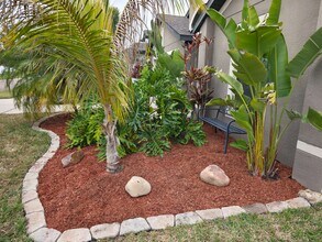 11808 Thicket Wood Dr in Riverview, FL - Building Photo - Building Photo