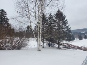 3023 County Rd 8 in Oneonta, NY - Building Photo - Building Photo