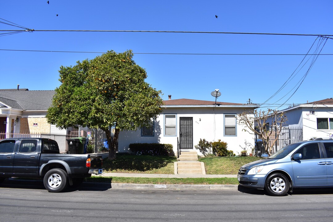 234 W Ofarrell St in San Pedro, CA - Building Photo