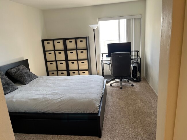 1775 Diamond St in San Diego, CA - Building Photo - Building Photo