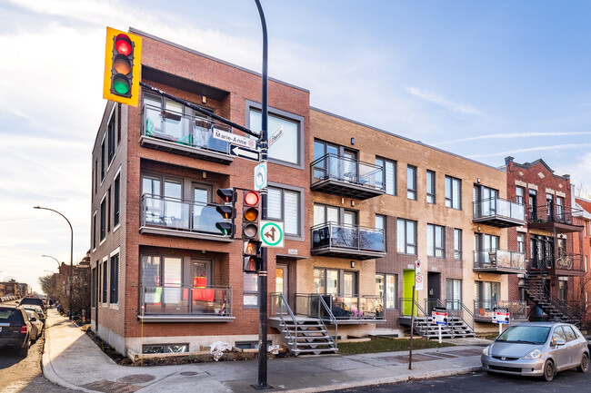 2480-2484 Marie-Anne St E in Montréal, QC - Building Photo - Primary Photo