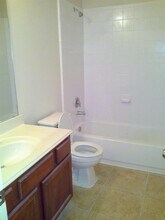 25123 Ibris Ranch Dr in Katy, TX - Building Photo - Building Photo