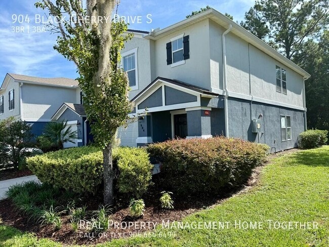 904 Black Cherry Dr S in Saint Johns, FL - Building Photo - Building Photo