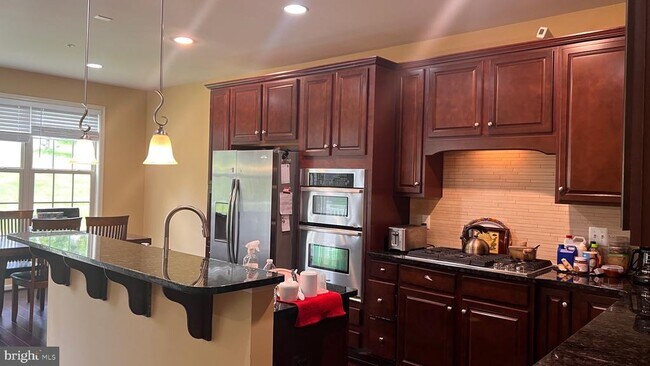 1525 Rabbit Hollow Pl in Silver Spring, MD - Building Photo - Building Photo