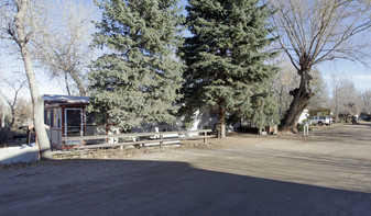 912 Wood St in Fort Collins, CO - Building Photo