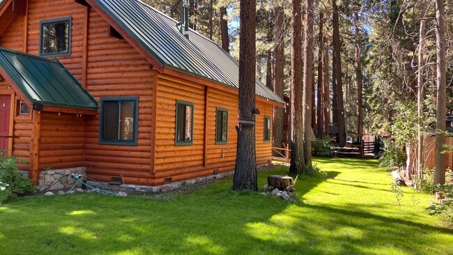 974 Gold Tip Ave in South Lake Tahoe, CA - Building Photo - Building Photo