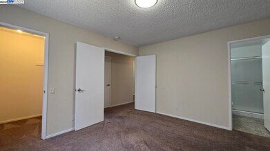 4853 Sally Ct in Union City, CA - Building Photo - Building Photo