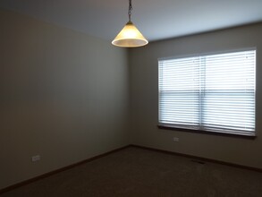 5206 Kingsbury Estates Dr in Plainfield, IL - Foto de edificio - Building Photo