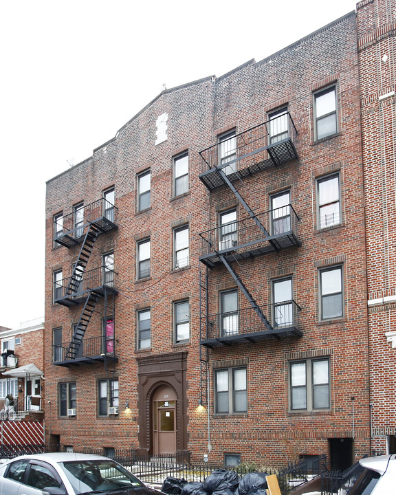 Francesarms in Brooklyn, NY - Building Photo