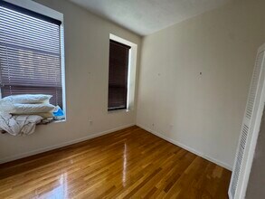 167 W Springfield St, Unit E1 in Boston, MA - Building Photo - Building Photo