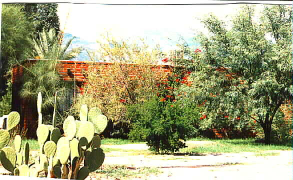 4601-4603 E Linden in Tucson, AZ - Building Photo